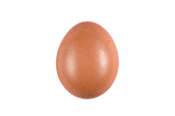 isolated chicken egg on white background