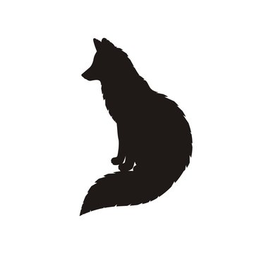 Silhouette of a sit fox