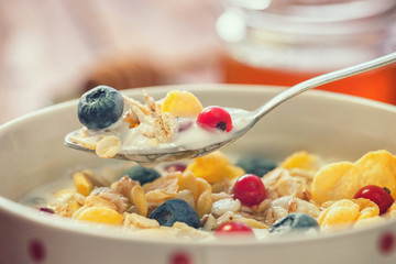 Healthy breakfast muesli with berries, honey and milk