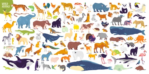 Foto op Plexiglas Big vector set of different world wild animals, mammals, fish, reptiles and birds. Rare animals. Funny flat characters, good for banners, prints, patterns, infographics, children book illustration etc © artflare
