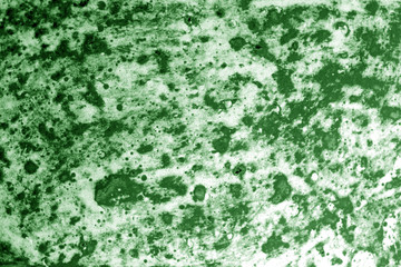 Fototapeta premium Part of old ceramic plate close-up in green tone.