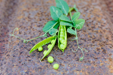 Pods of young green peas and pea