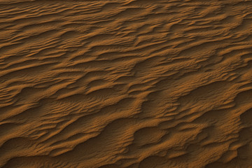 Fototapeta na wymiar Sand dunes during sunset with long shadows