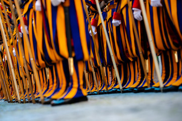 Swiss Guard Oath of Loyalty Ceremony, May 06, 2016