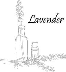 still life lavander