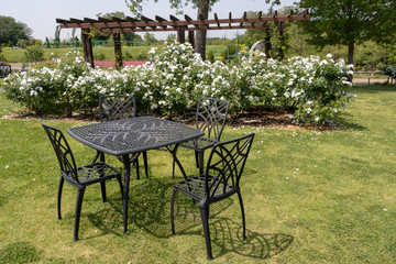 Scenery with chair and table in park, Park in Funabashi City, Chiba prefecture, Japan