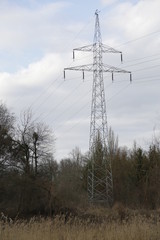 Eletricity pylon, transmission tower. Winter, meadow, field, trees.