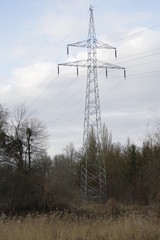 Eletricity pylon, transmission tower. Winter, meadow, field, trees.