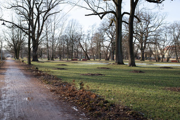 Scieżka w parku zimą roztopy © Seance_Photo_Sylwia