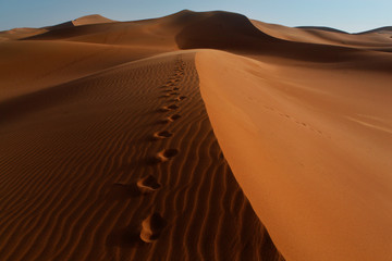 Fototapeta na wymiar Marokko, M`Hamid, Erg Chegaga / Erg M`Hazil, Sahara, Fußspuren im Sand