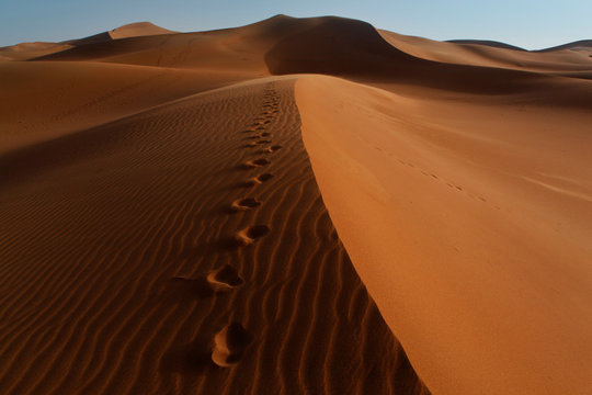 Marokko, M`Hamid, Erg Chegaga / Erg M`Hazil, Sahara, Fu&szlig;spuren im Sand