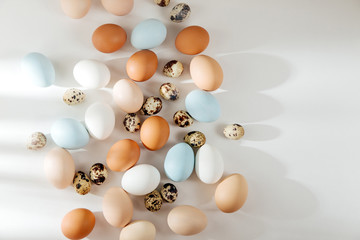 Natural Colored brown, quail and white Eggs with sunlights. Compositions in pastel colors. Easter consept.  Flat lay, top view .