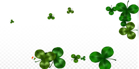 Vector Clover Leaf  Isolated on Transparent Background with Space for Text. St. Patrick's Day Illustration. Ireland's Lucky Shamrock Poster. Invintation for Concert in Pub. Top View. Success Symbols.