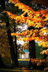 Tempel im Herbst