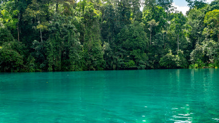 turquoise crystal freshwater on the top and saltwater in the bottom at Labuhan Cermin, Berau, Indonesia. Beautiful view off lake surrounded by green vegetation