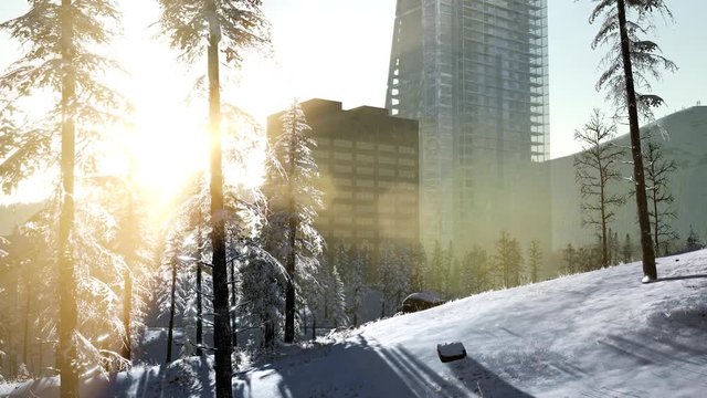 sity and forest in snow at sunrise