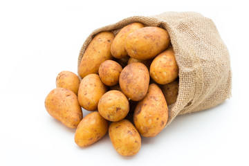 A bio russet potato isolated white background.