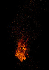 Fototapeta premium Flame of fire on a black background