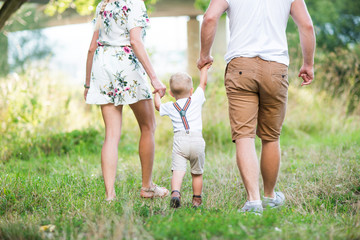 A rear view of young family with a small toddler boy in sunny summer nature.