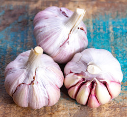 Three bulbs of fresh violet French garlic close up