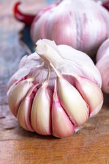 Three bulbs of fresh violet French garlic close up