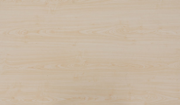 wood texture background
