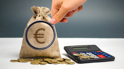 Money bag with a euro sign and calculator. Family or company budget concept. Income and profit. The...