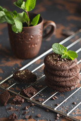 Chocolate cookies on the baking rack. Dark and Moody