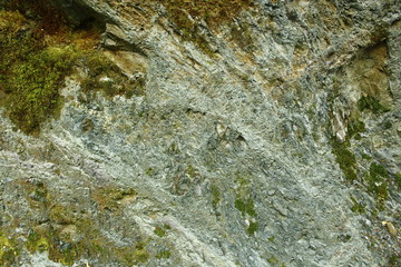 Jade in the stone