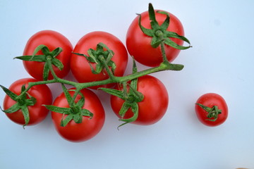 fresh tomatoes on blue background