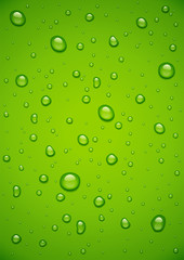 Water drop at green background.