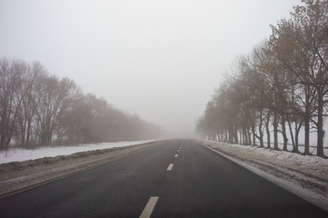 Fototapeta na wymiar Road in the fog