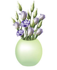 Beautiful lilac lisianthus with buds blossoming