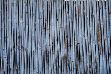 bamboo background from real bamboo  