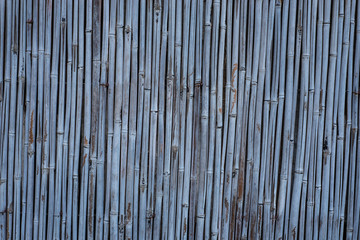 bamboo background from real bamboo  