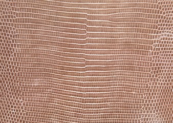reptile skin texture