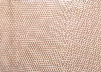 reptile skin texture