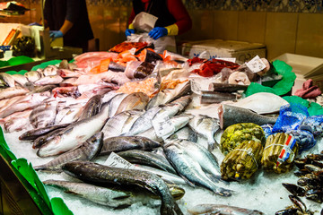 Fresh fish are on the counter in the fish shop
