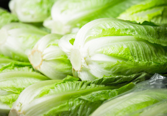 Napa cabbage on counter at market