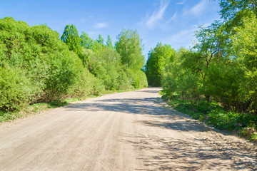 Fototapeta na wymiar Road from rubble along the forest in spring on a Sunny day