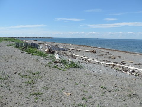 souvenir de matane 6