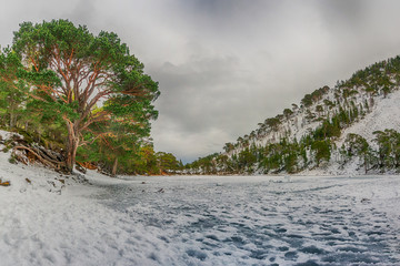 The Green Lochan