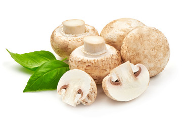 Fresh Champignon Mushrooms with basil, close-up, isolated on white background