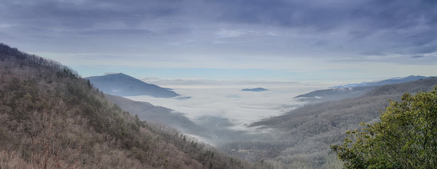 "The Milk Fog" ZDS Blue Ridge Mountains Collection