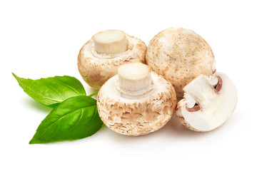 Champignons with basil, close-up, isolated on white background