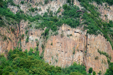 steile Felswand mit grüner Vegetation