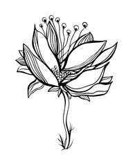 Beutiful style vector illustration of flower with circles. Great design elements for sticker, card, print or poster. Drawing  isolated on white background. Spring concept