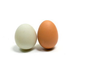 eggs, isolated, background, white