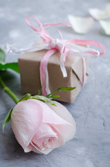 Pink pastel rose with gift box