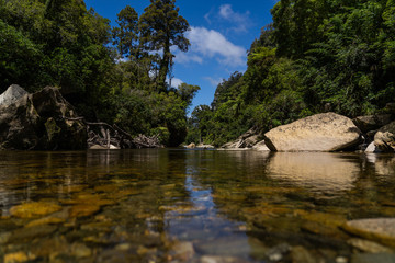 Fototapeta na wymiar Pororari River track, landscape on the Pororari River Track, new zealand, south island, Wild New Zealand forest or jungle, Catlins, South Island. 